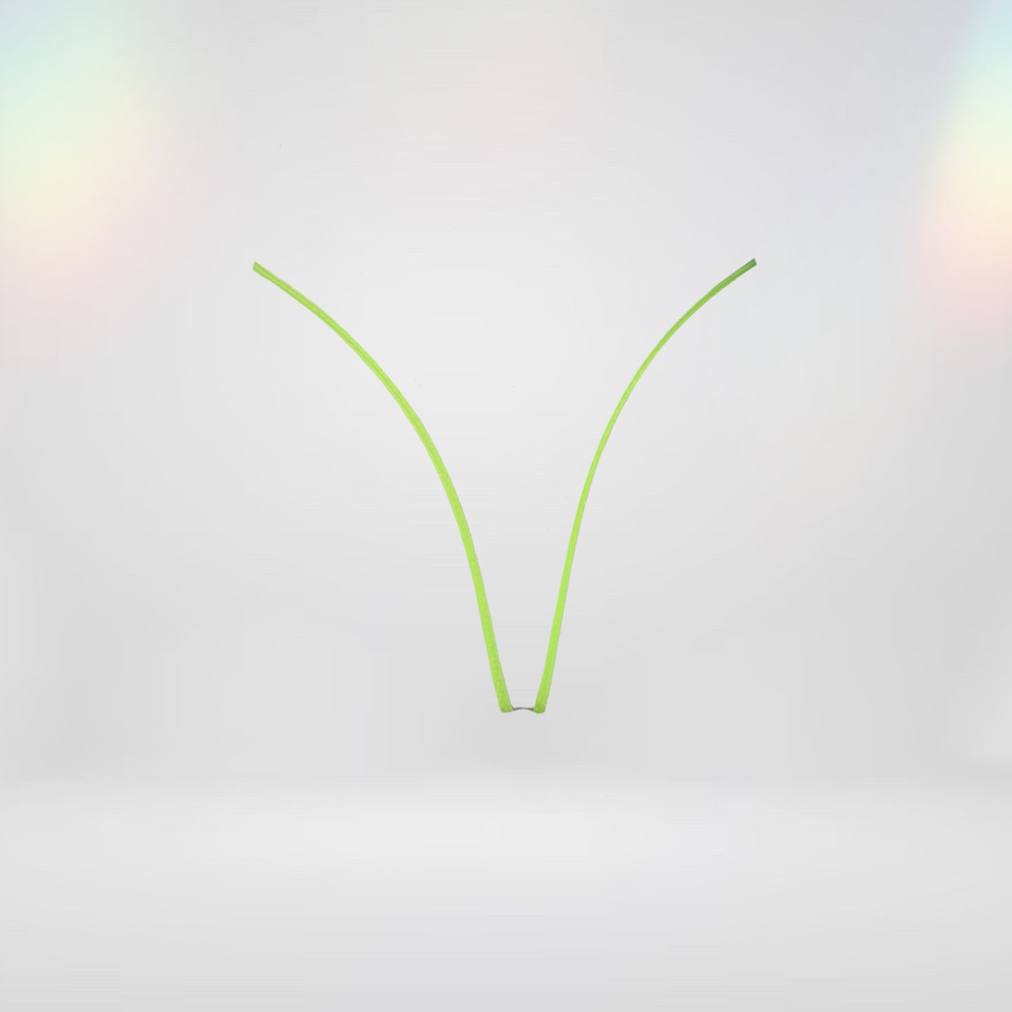 Feé Disco Bikini Bottom | Risqueé [SOLAIRE]